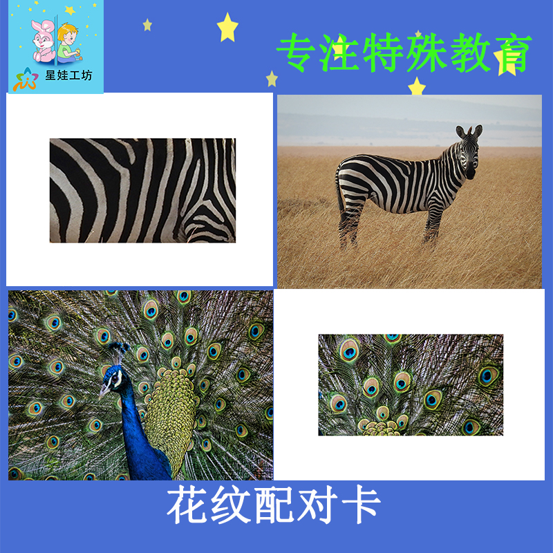 花纹发育迟缓观察神器训练卡片