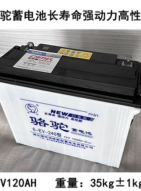 骆驼水电池6-EV-240型12v120ah电动三轮车环卫车电动叉车专用电瓶