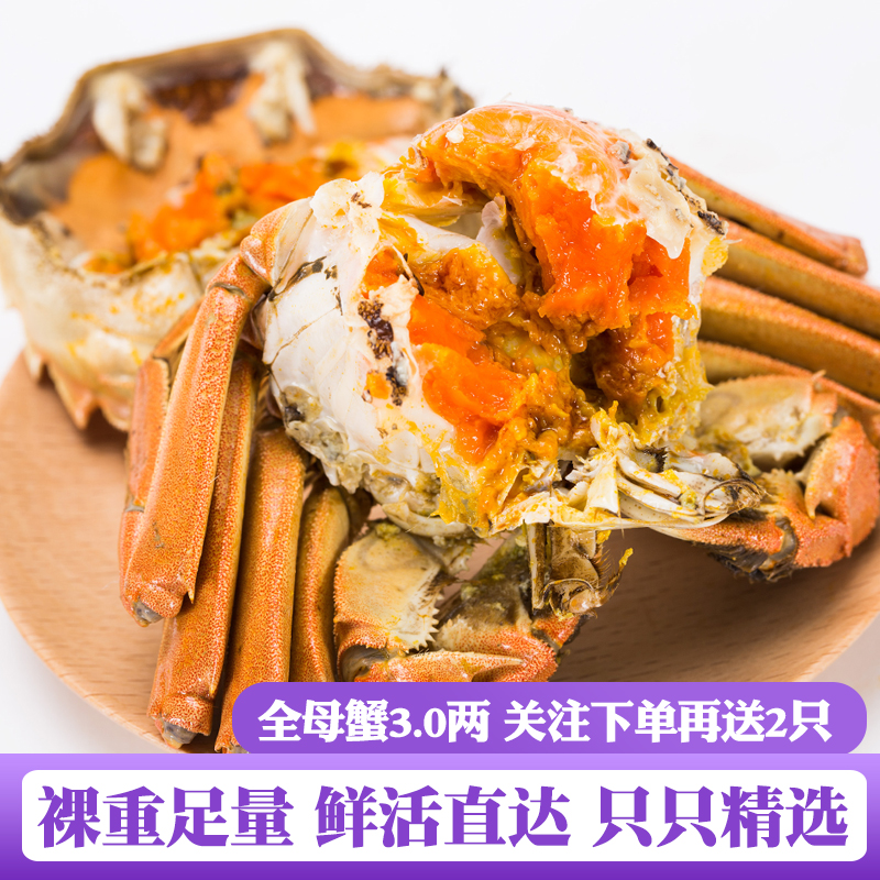 鲜活大闸蟹3.0两全母蟹