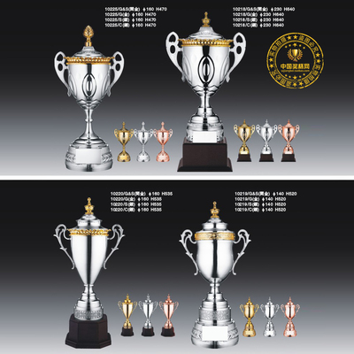银色大奖杯金属奖杯订制运动奖杯年会奖杯企业大奖杯流动奖杯定制