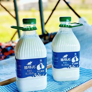 新疆伊犁特产菌牧元手工酸奶3kg桶装原味低温酸奶全脂风味发酵乳