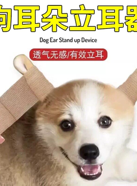 雪纳瑞立耳幼犬柯基立耳贴约克夏立耳器辅助胶带杜宾犬耳朵矫正器