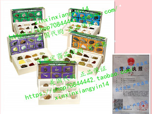 代 Educational Insights Complete Rock & Fossil Collection