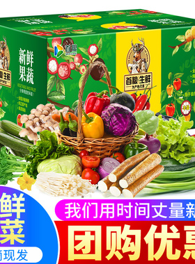 首粮新鲜蔬菜礼盒8000g当季时令鲜蔬大礼包多种绿色蔬菜套餐组合