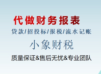 代做财务报表财务分析招投标 银行贷款报税资产负债现金流量表 商务/设计服务 商务服务 原图主图