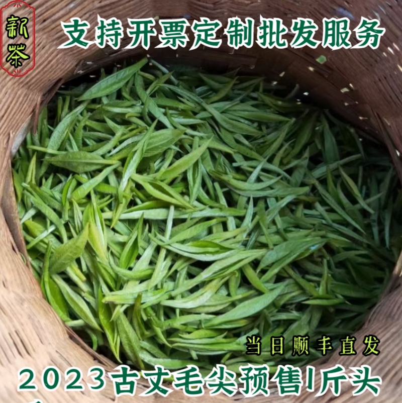 【预售春茶】2023前特级古丈毛尖白毛尖绿茶湖南湘西产农家散装