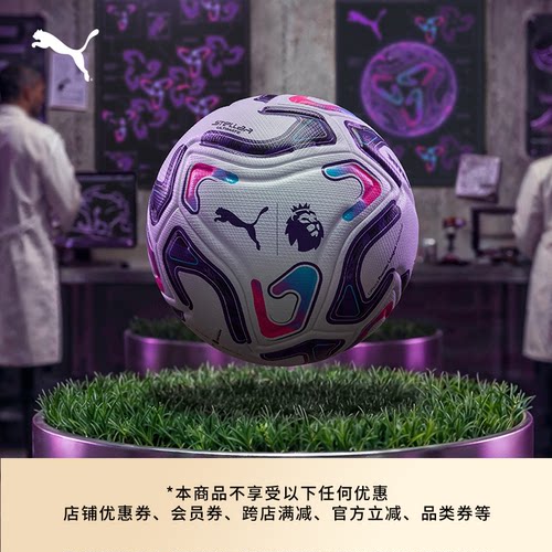 英超联赛FIFAPRO足球PUMA彪马