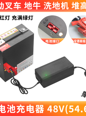电动叉车 杭叉江淮柳工合力搬运托盘48v10ah15ah锂电池智能充电器