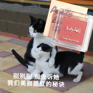 二件减5!judydoll橘朵单色腮红 显白哑光细闪35膨胀收缩色43