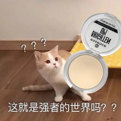 essence定妆粉饼持久不脱妆