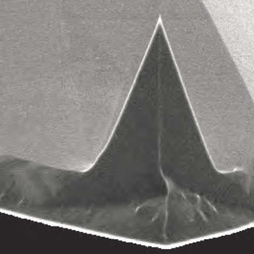 布鲁克Bruker 原子力显微镜AFM探针/导电探针 RMN-25PT300B