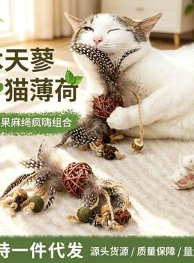 木天蓼磨牙棒猫玩具自嗨解闷耐咬猫薄荷球逗猫棒幼猫磨牙宠物用品