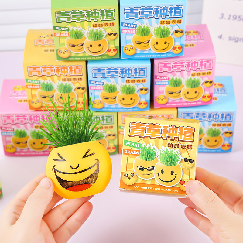 草头娃娃办公室迷你植物小盆栽青草种植表情桌面diy学生礼品创意
