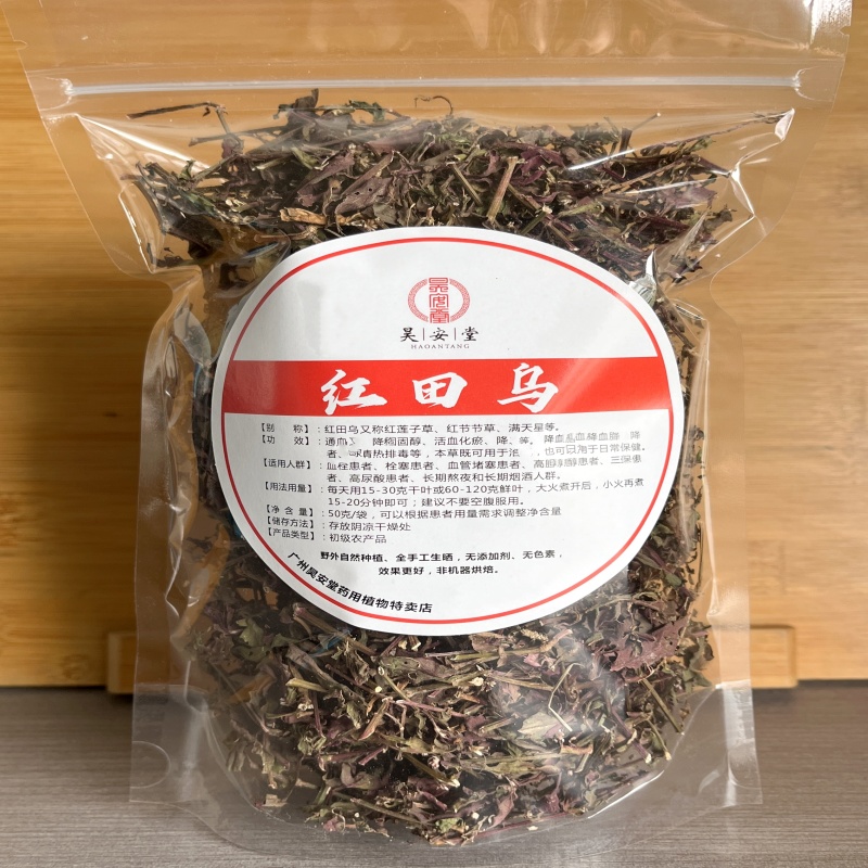 红田红莲子红棕五色草鲜叶节节草