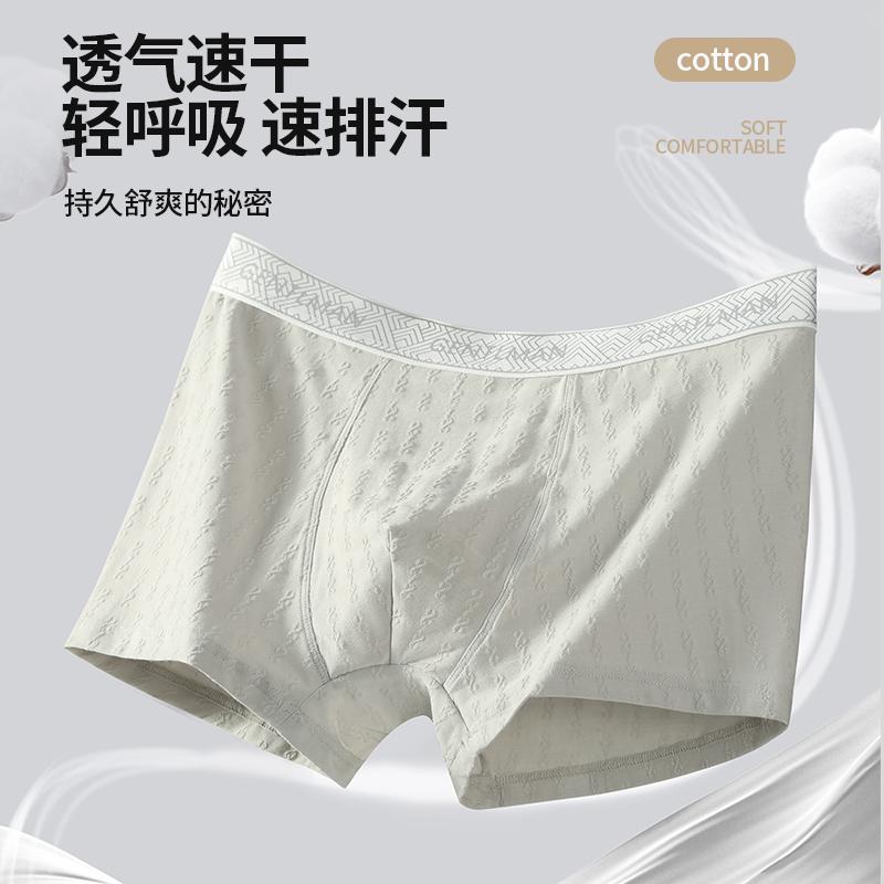 TINSINO 3条装  7A级抑菌裆80支新疆棉舒适男士提花内裤YXW-1161