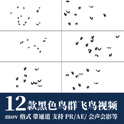 pr/ae视频素材黑色鸟群飞鸟剪影mov动画alpha透明通道后期剪辑