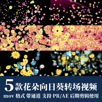 pr视频素材花朵向日葵飞舞转场mov动画alpha透明通道ae剪辑合成