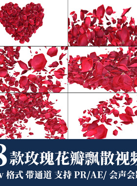 pr/ae视频素材浪漫唯美红色玫瑰花瓣过渡转场动画alpha带透明通道