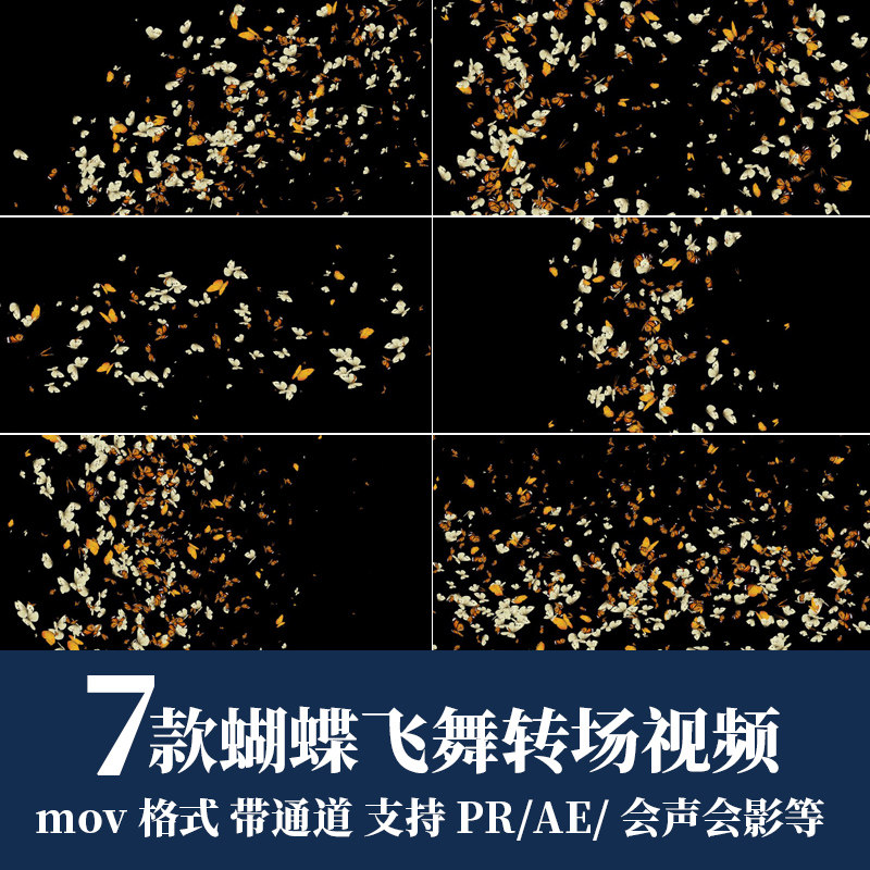 pr视频素材蝴蝶飞舞遮罩过渡转场mov动画alpha透明通道ae后期剪辑