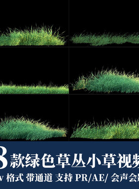 pr/ae视频素材绿色草丛草地小草摆动alpha透明通道循环动画高清4k