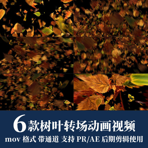 pr视频素材树叶飘落过渡转场mov动画alpha透明通道ae后期剪辑合成