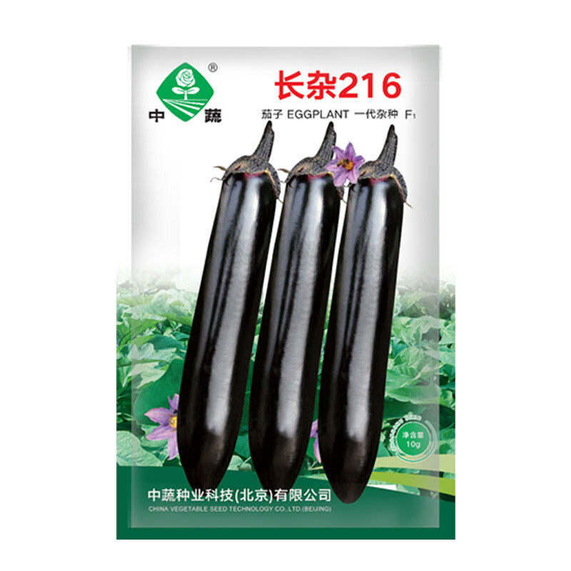 中蔬中国农科院种子紫色茄种子早熟高产蔬菜种子长杂216茄子种子