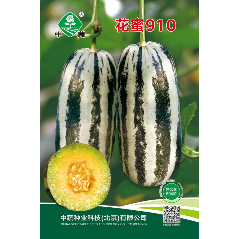中蔬中国农科院种子甜脆香瓜籽大田基地农场种植花蜜910甜瓜种子