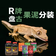 分装睫角守宫巨人魔物盖勾亚R属守宫盘古果泥分装R牌果泥分装粮食