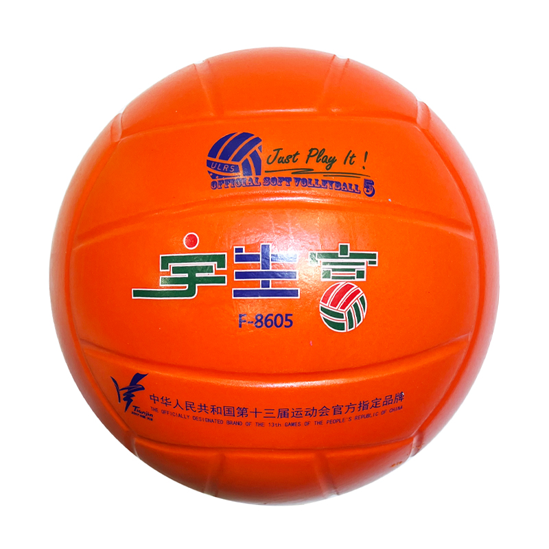宇生富排球中考学生专用小学生初中生考试比赛硬排5号气排球儿童