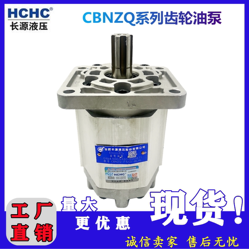 齿轮泵HCHC合肥长源后进出油