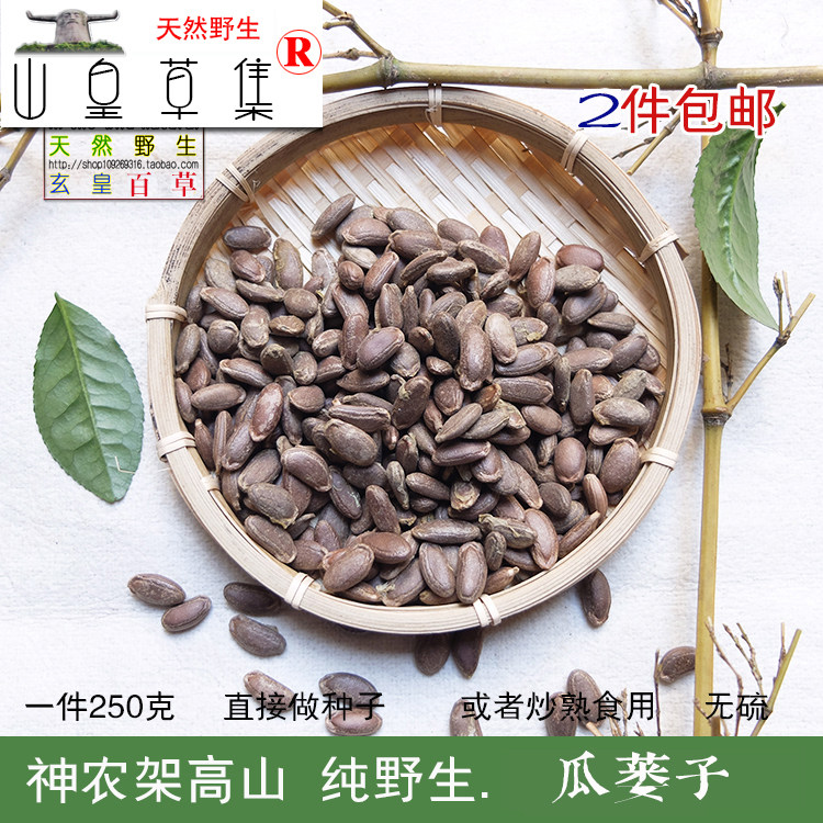 神农架野生瓜蒌仁瓜蒌子山苦瓜毛冬瓜葫芦子吊葫芦子250克包邮