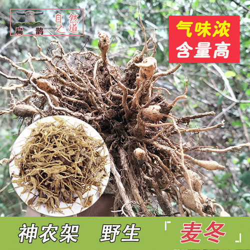纯野生麦冬麦冬神农架野生药材