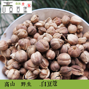 山皇草集 高山野生药材 白豆蔻 100克采摘晾晒湿气 满 2件包邮