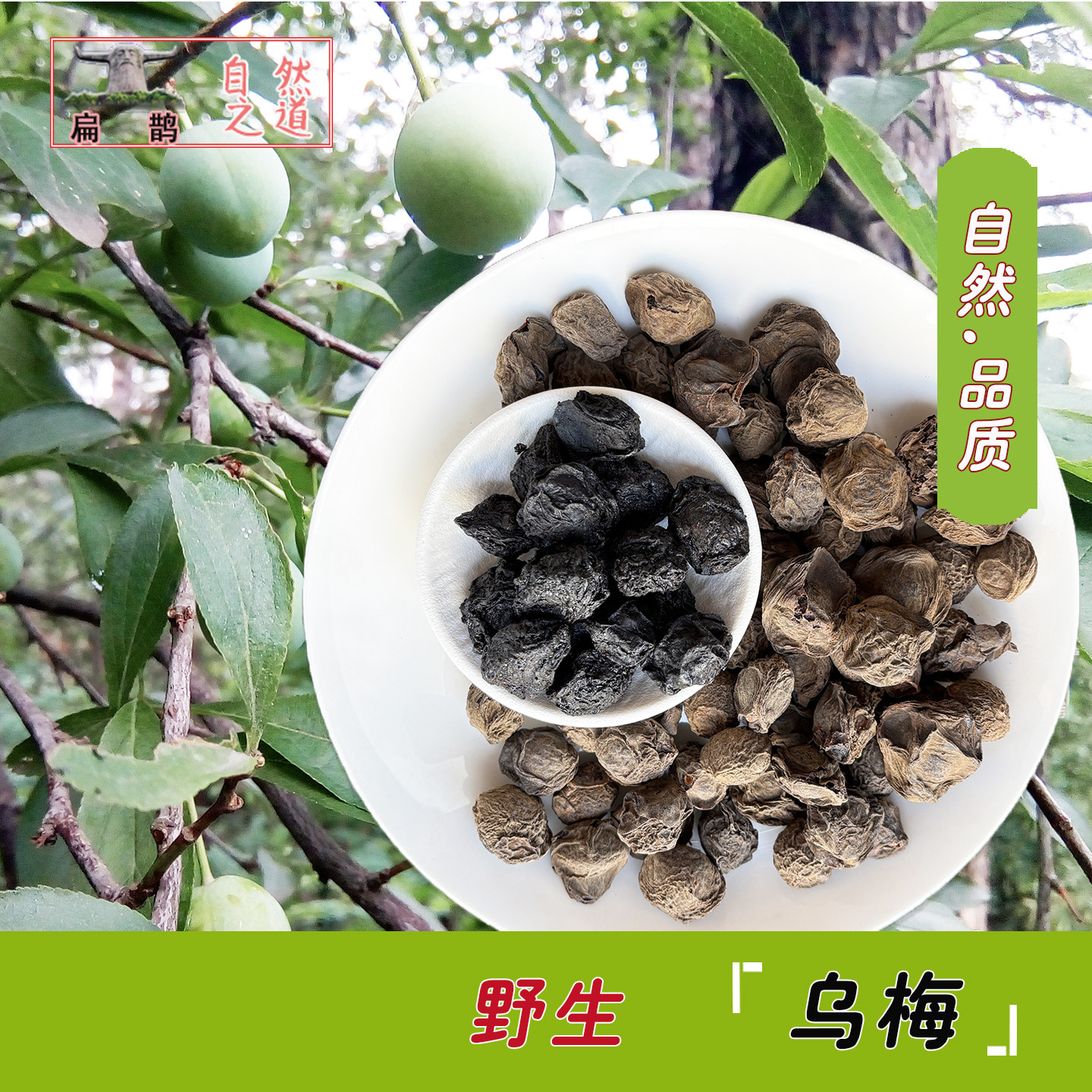 【山皇草集】野生乌梅生干酸梅汤有百草烟熏乌梅茶250份药材 包邮