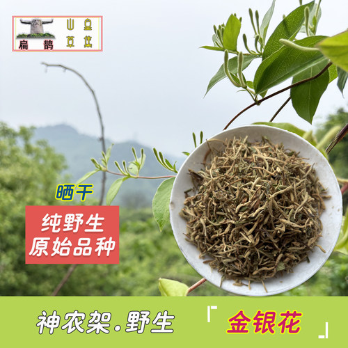 野生金银花金银花上火茶