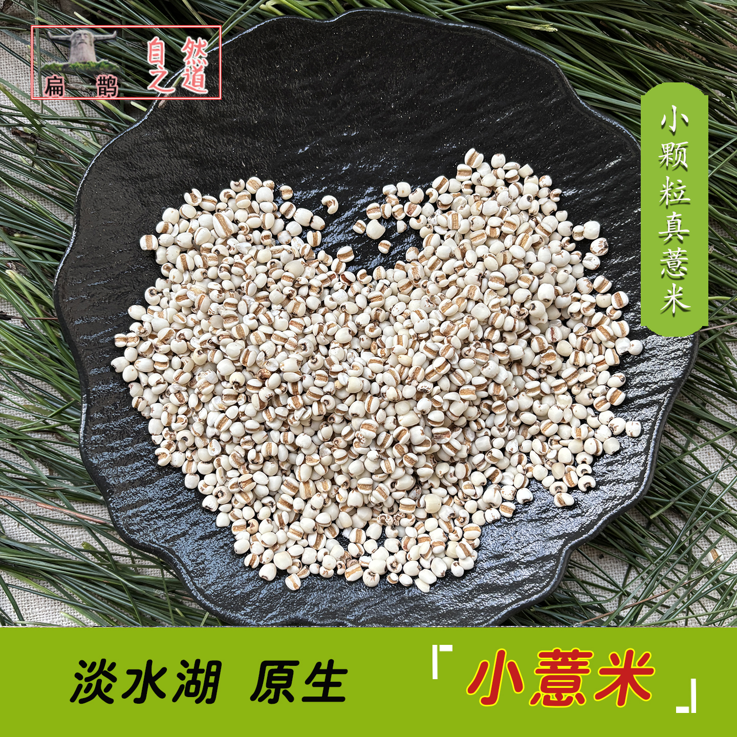 薏仁米炒薏米小粒农家天然湿气