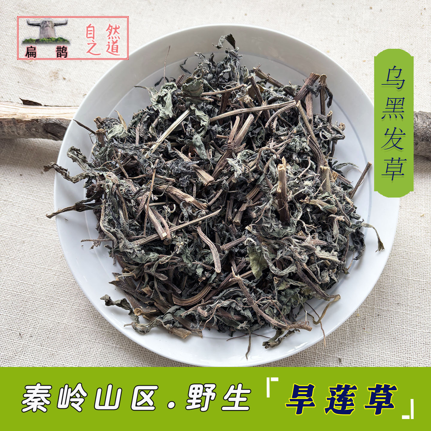 神农架野生女贞子墨旱莲药材