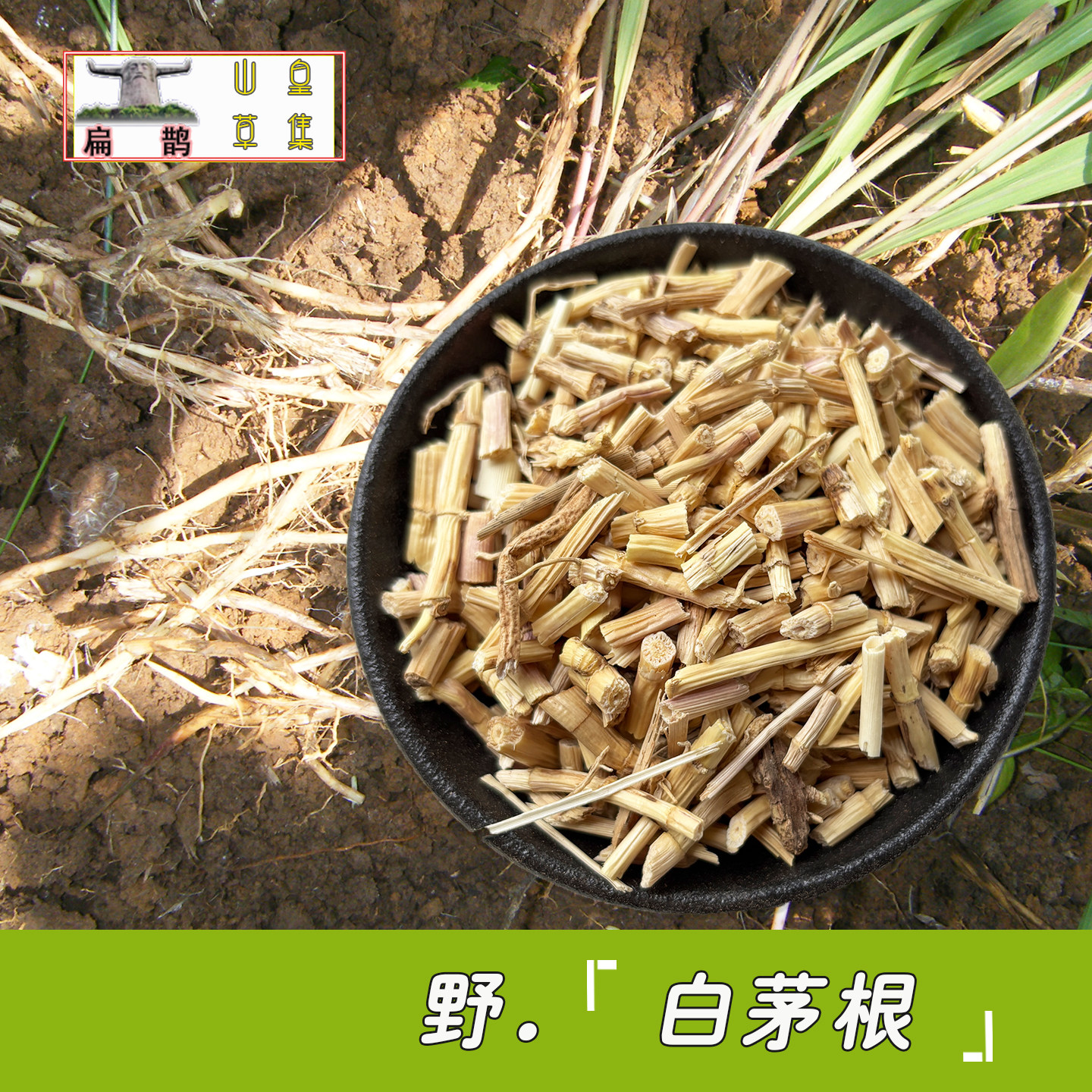 秦岭高山 野生白茅根纯根茅草根干品250克自挖 甜草根药材 包邮