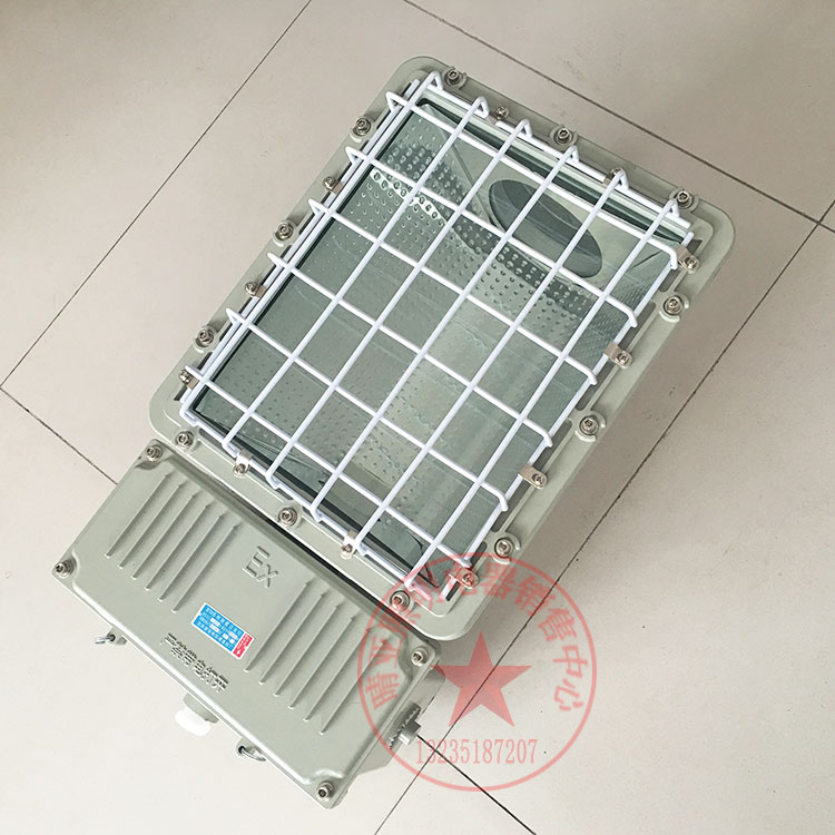 新黎明防爆灯投光灯泛光灯金卤灯一体防暴灯具BTD-250W 400W