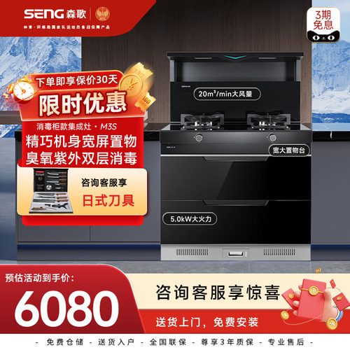 政府以旧换新补贴20%森歌M3S