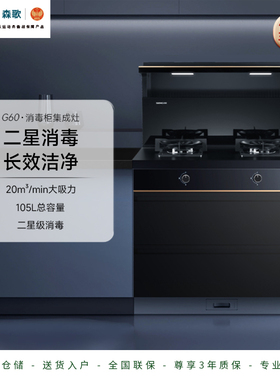 Seng/森歌 JJZT-G60集成灶一体灶侧吸式油烟机燃气灶灶具消毒柜