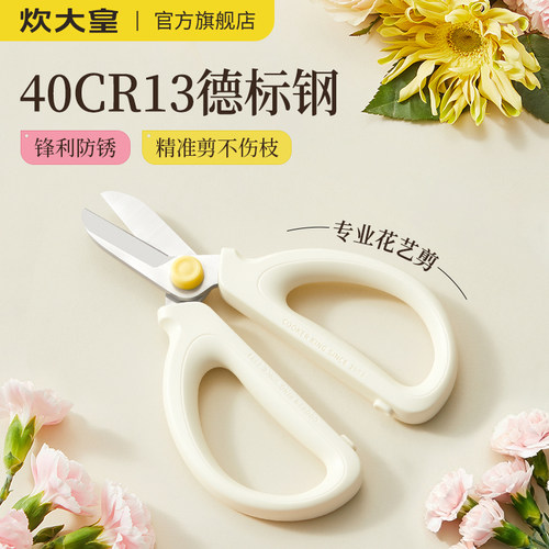 免费试用炊大皇园艺剪家用剪刀