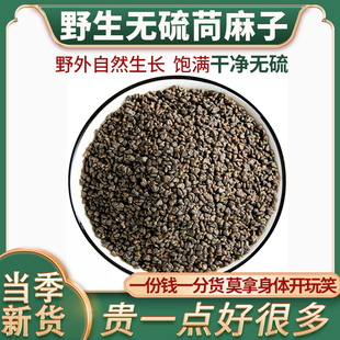 苘麻子中药材 野生麻果籽青麻子 熟苘麻籽茼麻子麻梭子毛毛果子粉
