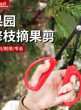 芽剪修枝剪园艺剪刀葡萄小剪子家用稀果剪采摘果剪专用盆栽剪子