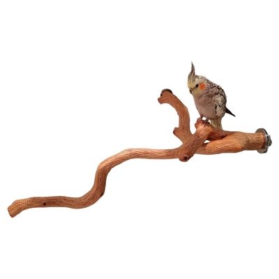 中大型鹦鹉站杆野梨木天然随型树木质坚硬耐啃咬纹路清晰