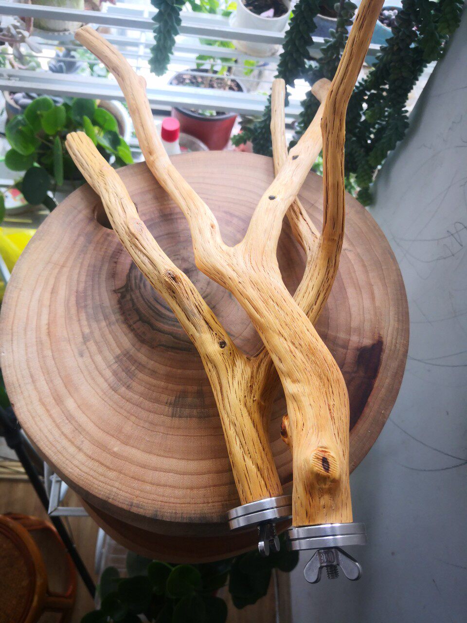 鹦鹉鸟站杆野山梨木天然随型树枝硬木实木站杆树杈纹路清晰鸟玩具