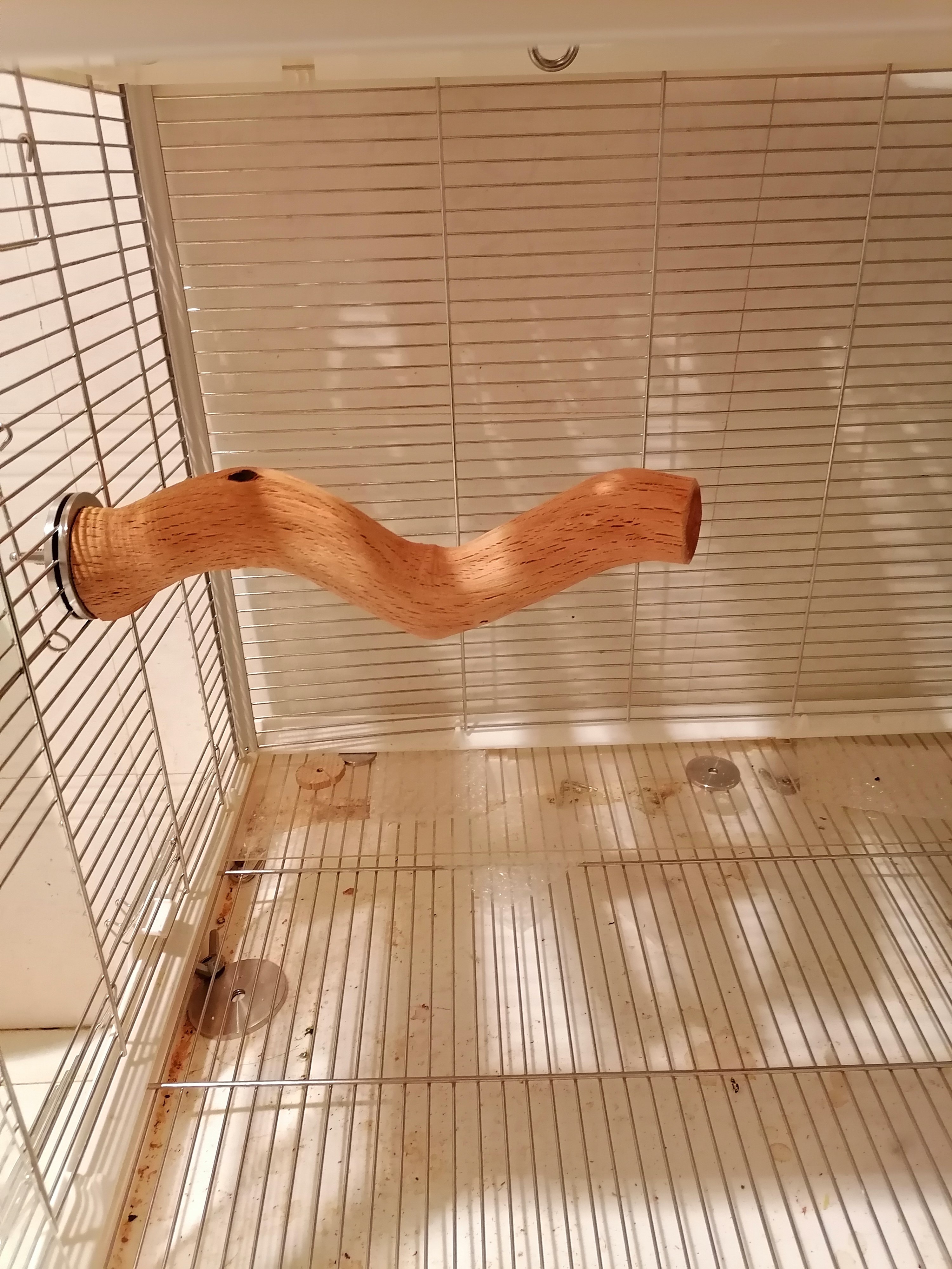 大型鹦鹉硬野梨木实木站杆笼内站棍耐啃咬磨嘴304不锈钢配件用品