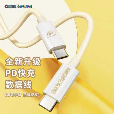 蜡笔小新单头100WUSB快充