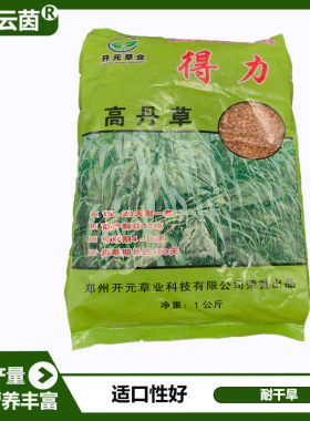 进口高丹草种子高产品质佳适口好