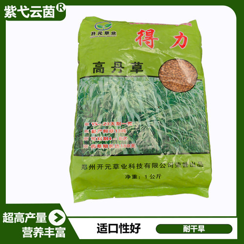 进口高丹草种子高产品质佳适口好